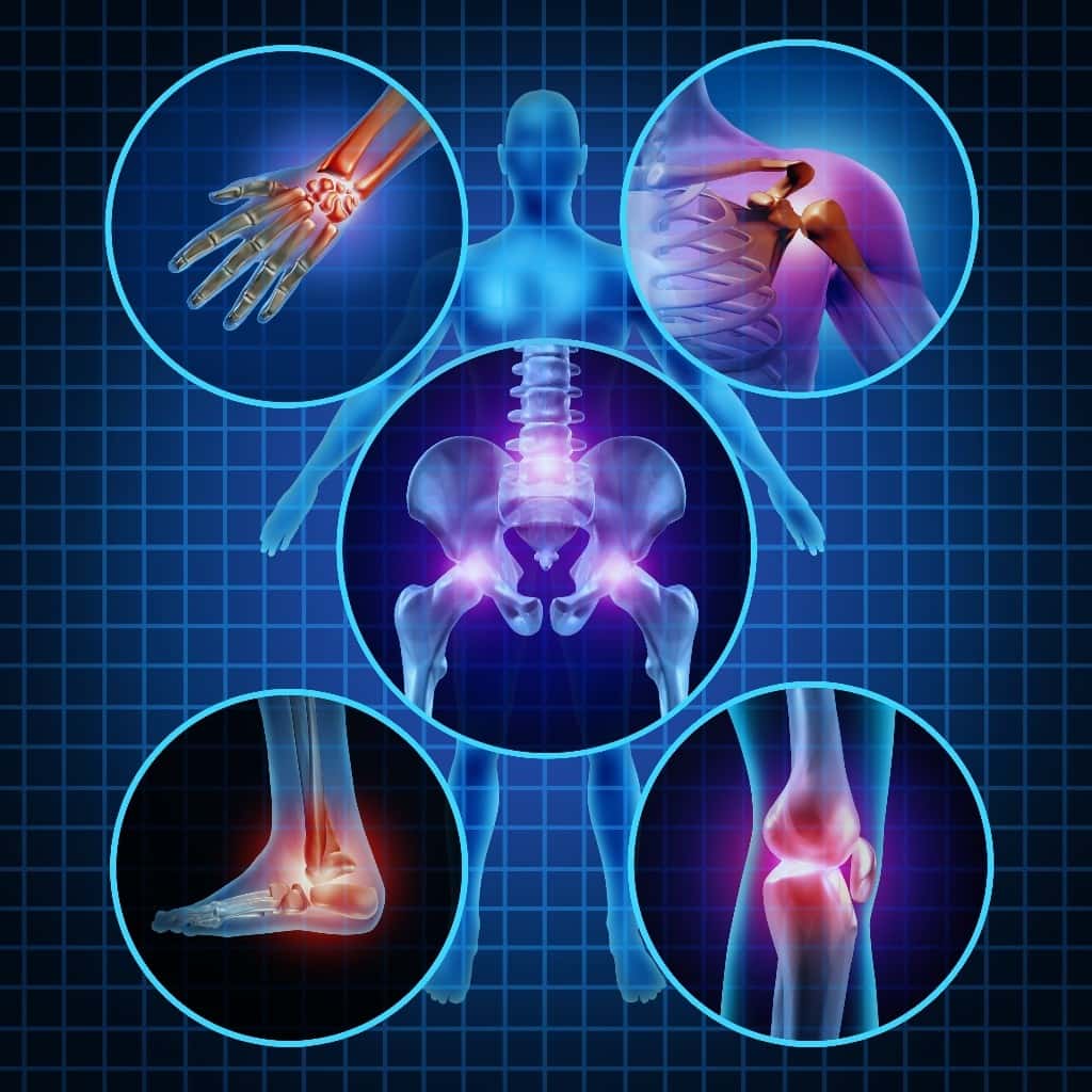Orthopaedic insight